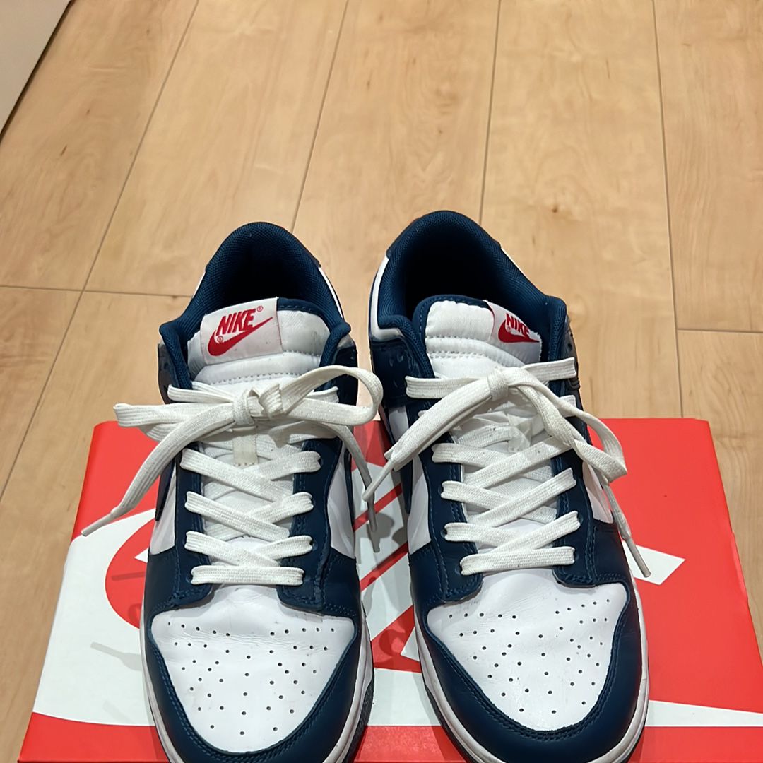 Nike Dunk Low "Valerian Blue"