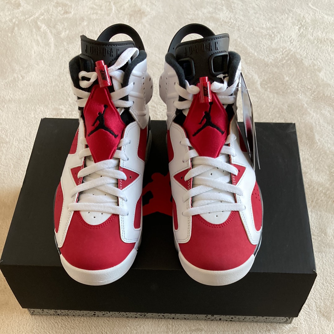 Nike Air Jordan 6 "Carmine" (2021)