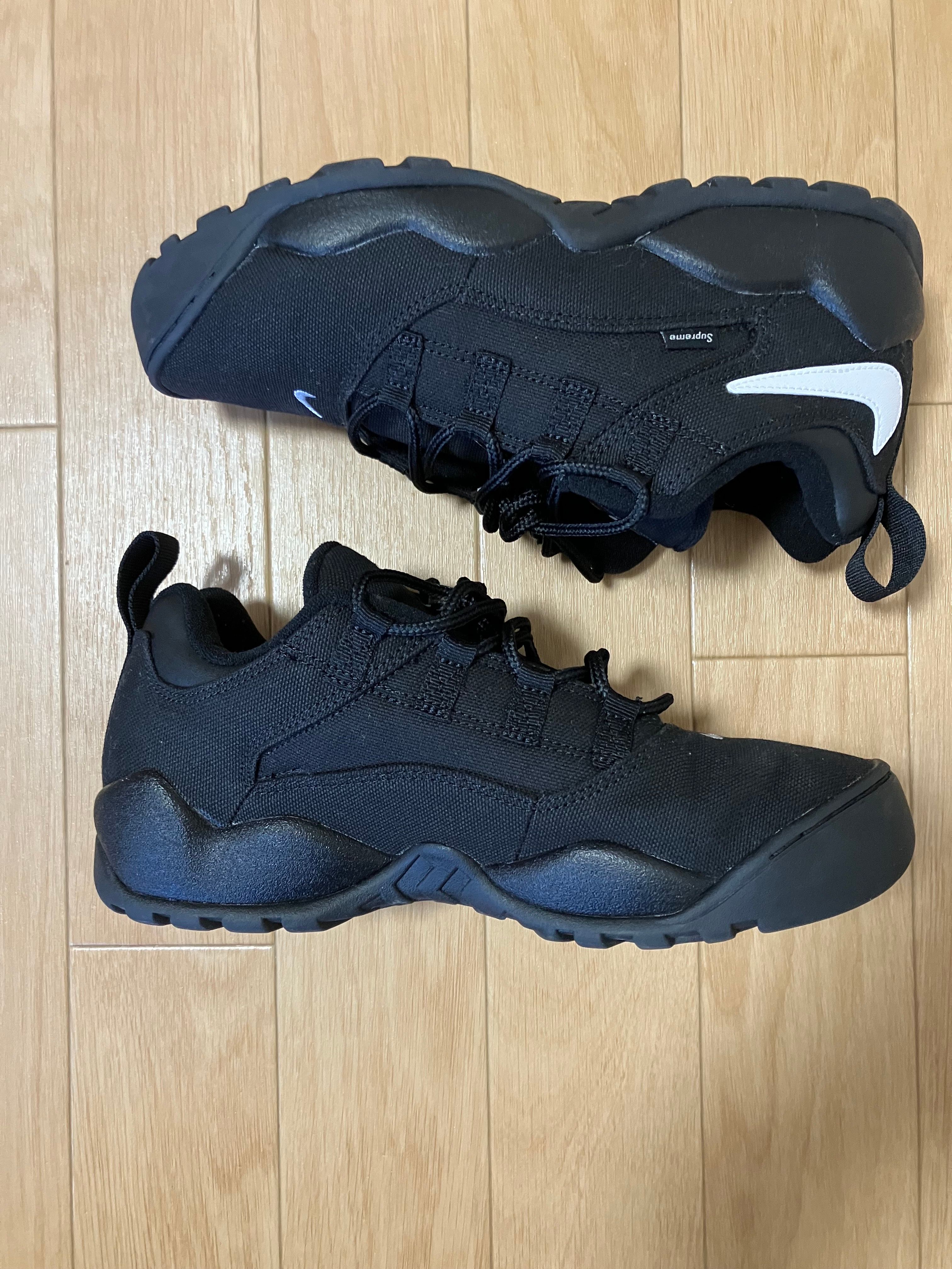 Supreme × Nike SB Darwin Low "Black"