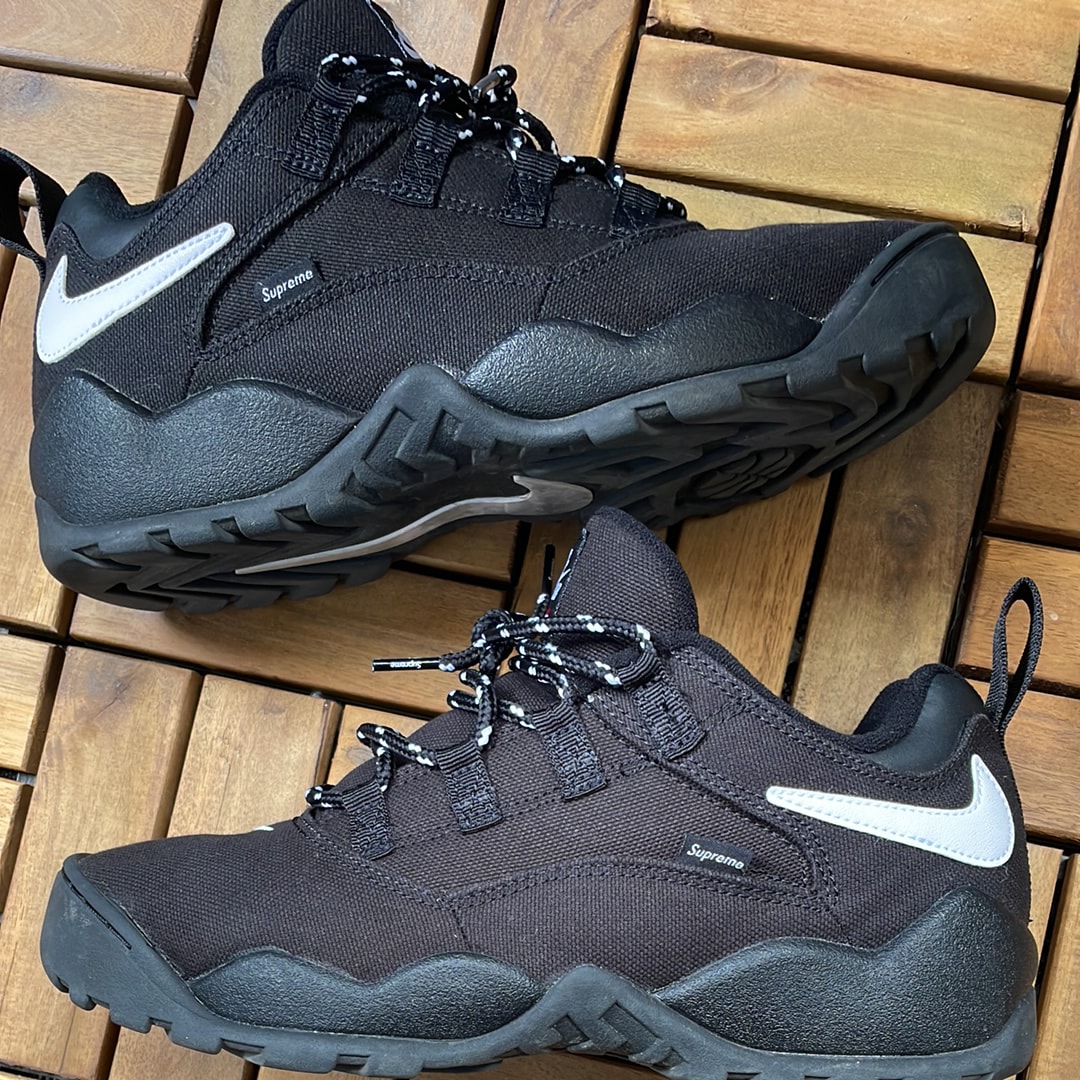 シュプリーム × ナイキ SB ダーウィン ロー "ブラック"