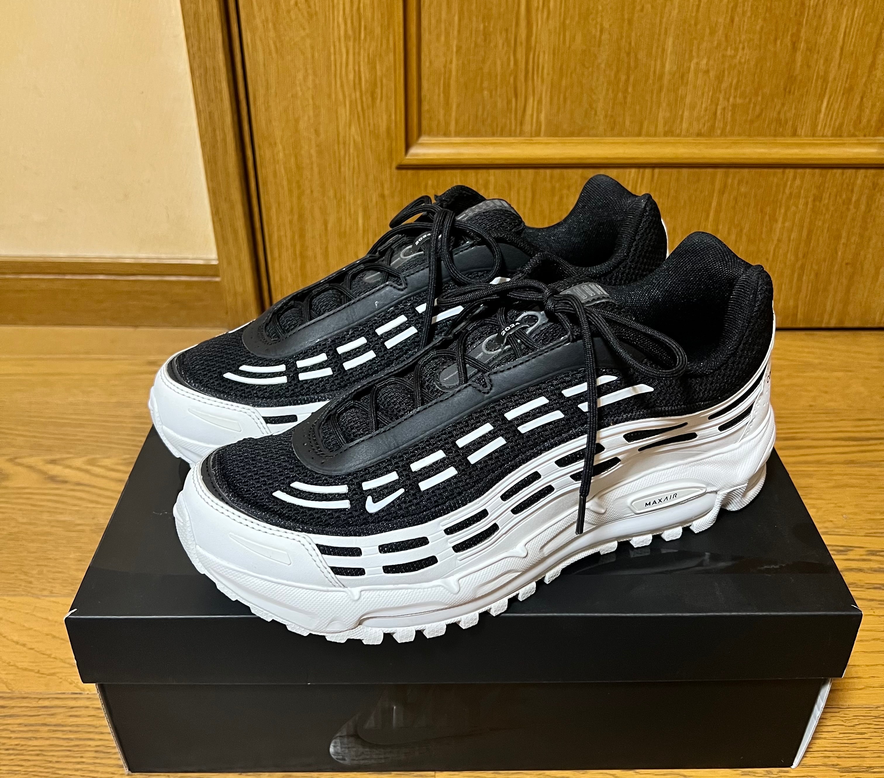 COMME des GARCONS HOMME PLUS × Nike Air Max TL 2.5 "Black/White"