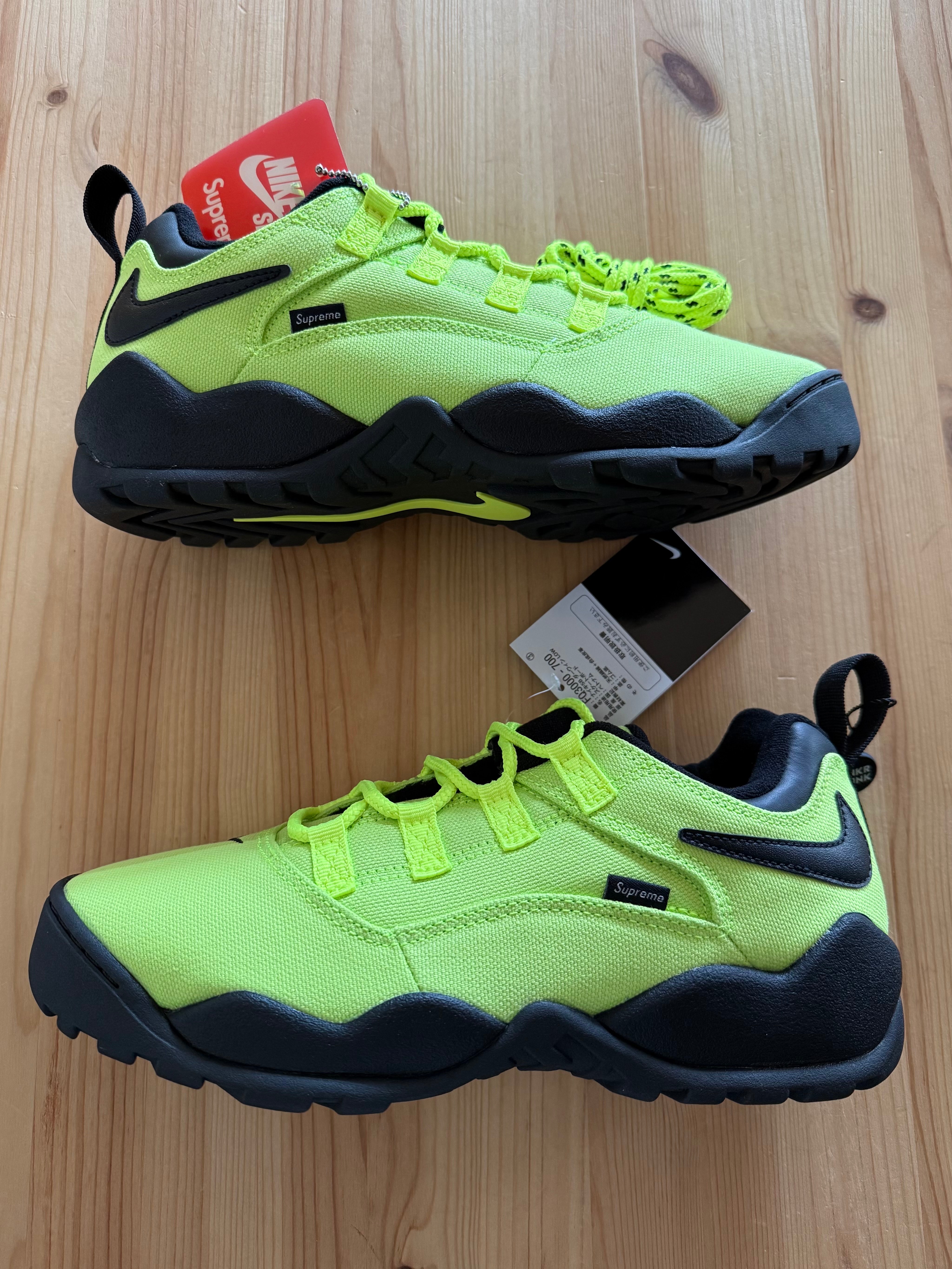 Supreme × Nike SB Darwin Low "Green"