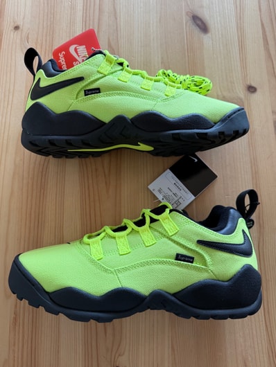Supreme × Nike SB Darwin Low "Green"