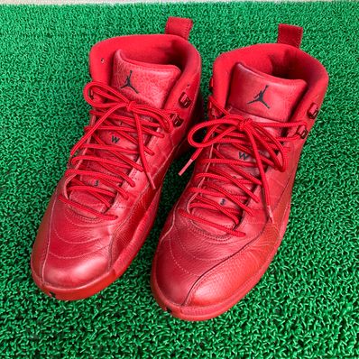 Retro 12 2025 gym red 2018