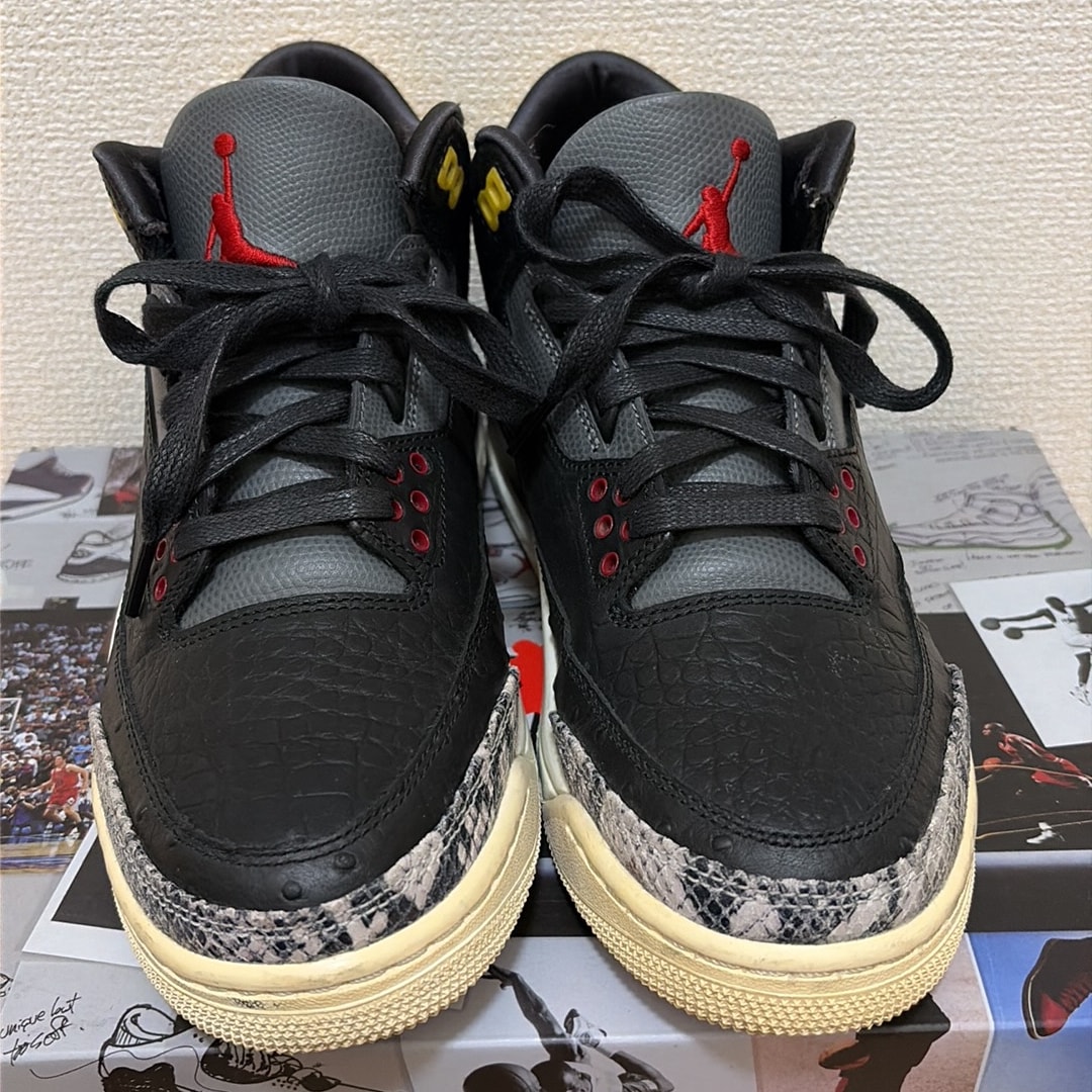 Nike Air Jordan 3 Retro SE "Animal Instinct 2.0/Safari"