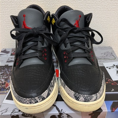 Nike Air Jordan 3 Retro SE "Animal Instinct 2.0/Safari"