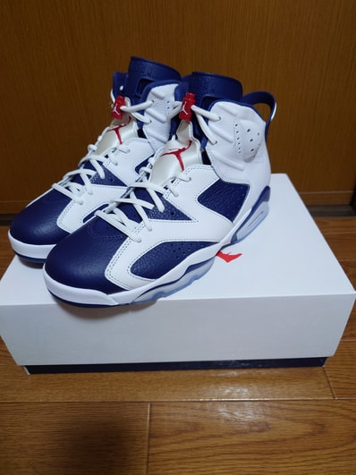 Nike Air Jordan 6 Retro "White and Midnight Navy"