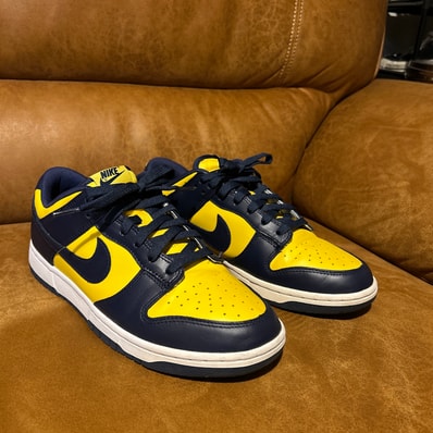 Nike Dunk Low "Michigan"