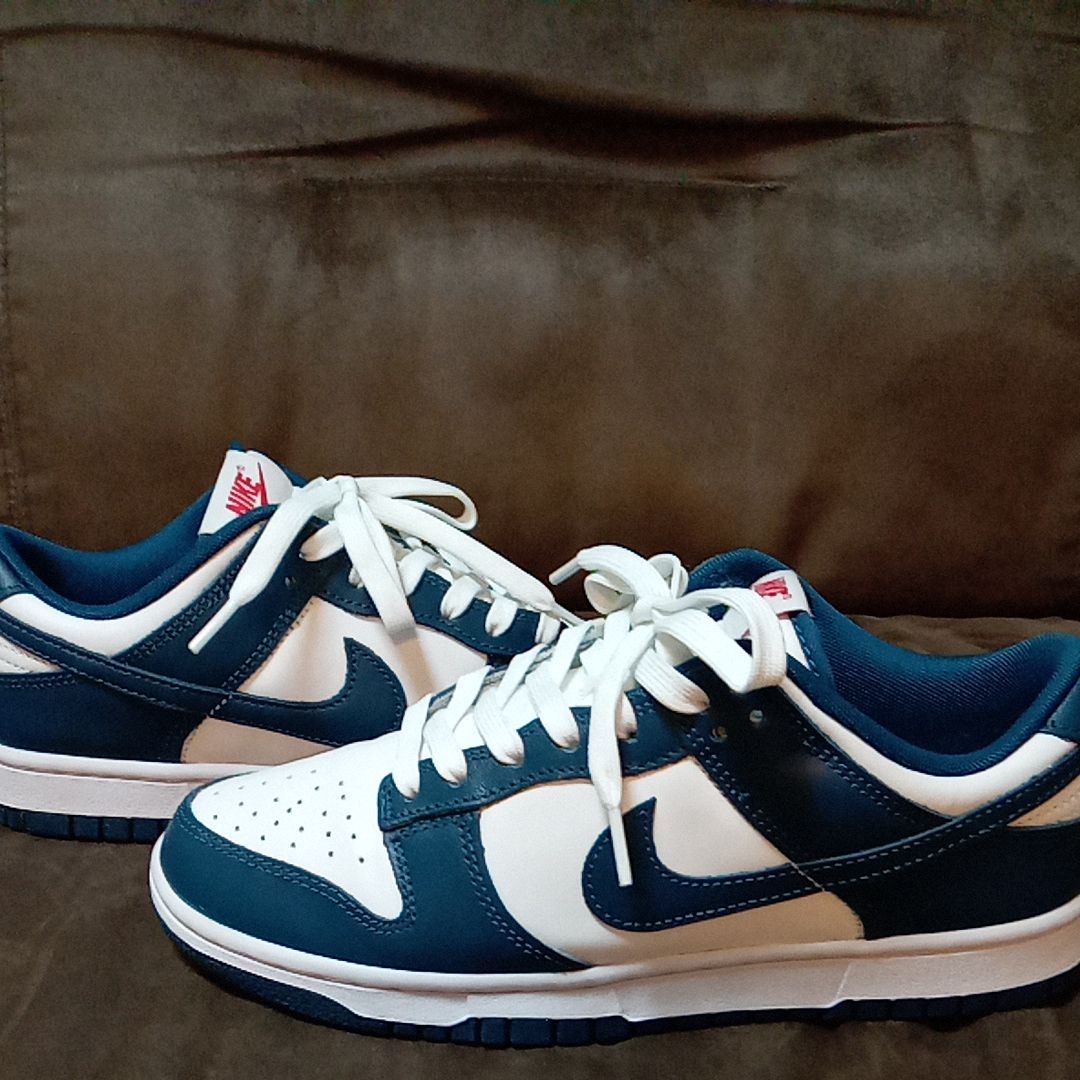 Nike Dunk Low "Valerian Blue"