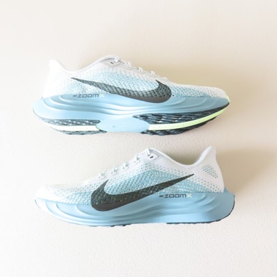Nike Pegasus Plus "Pure Platinum/Denim Turquoise/Barely Volt/Seaweed"