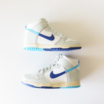 Nike GS Dunk High "Split"