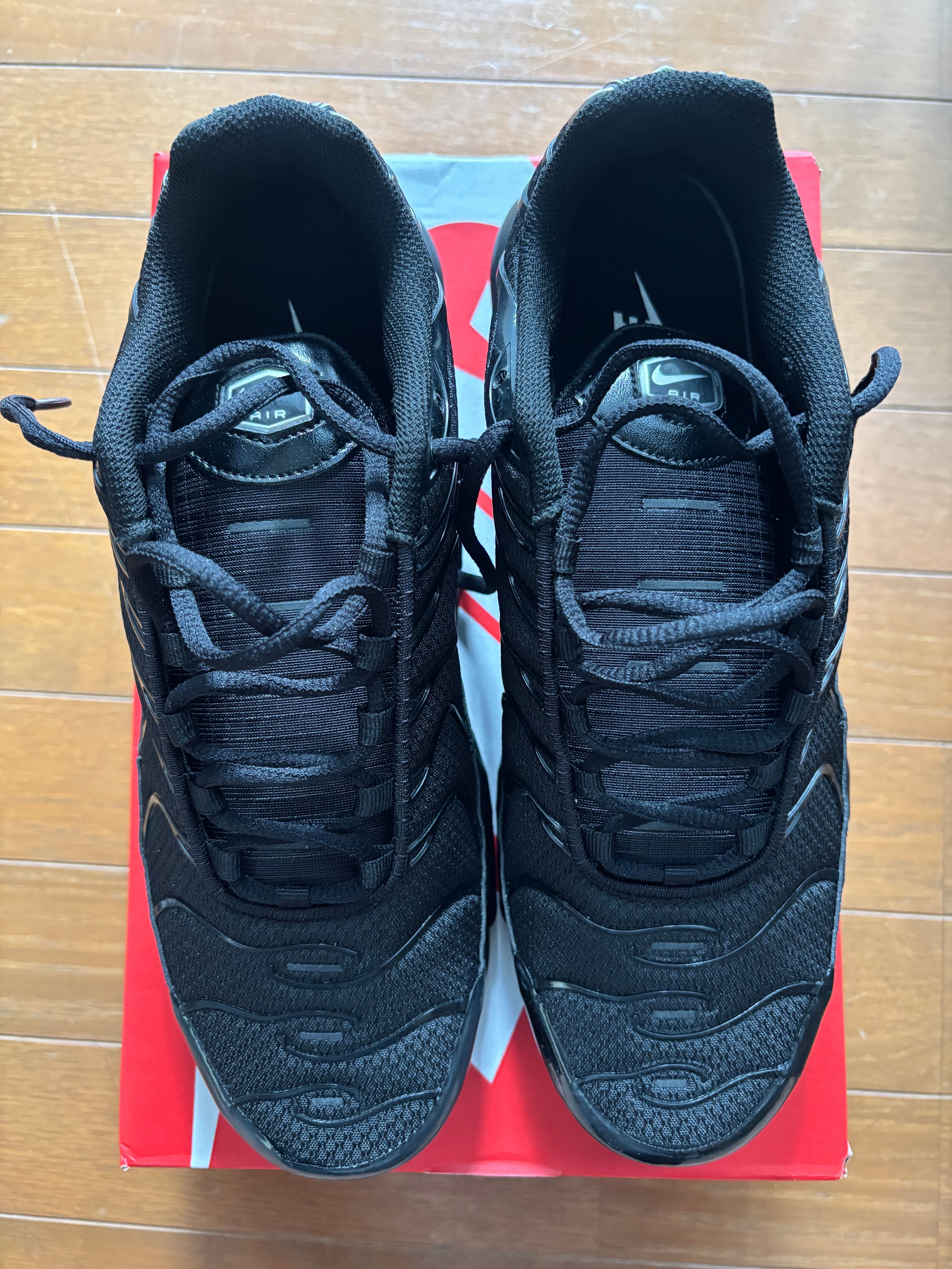 Nike Air Max Plus "Triple Black"