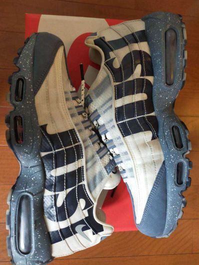 Nike Air Max 95 "Just Do It Mt. Fuji"