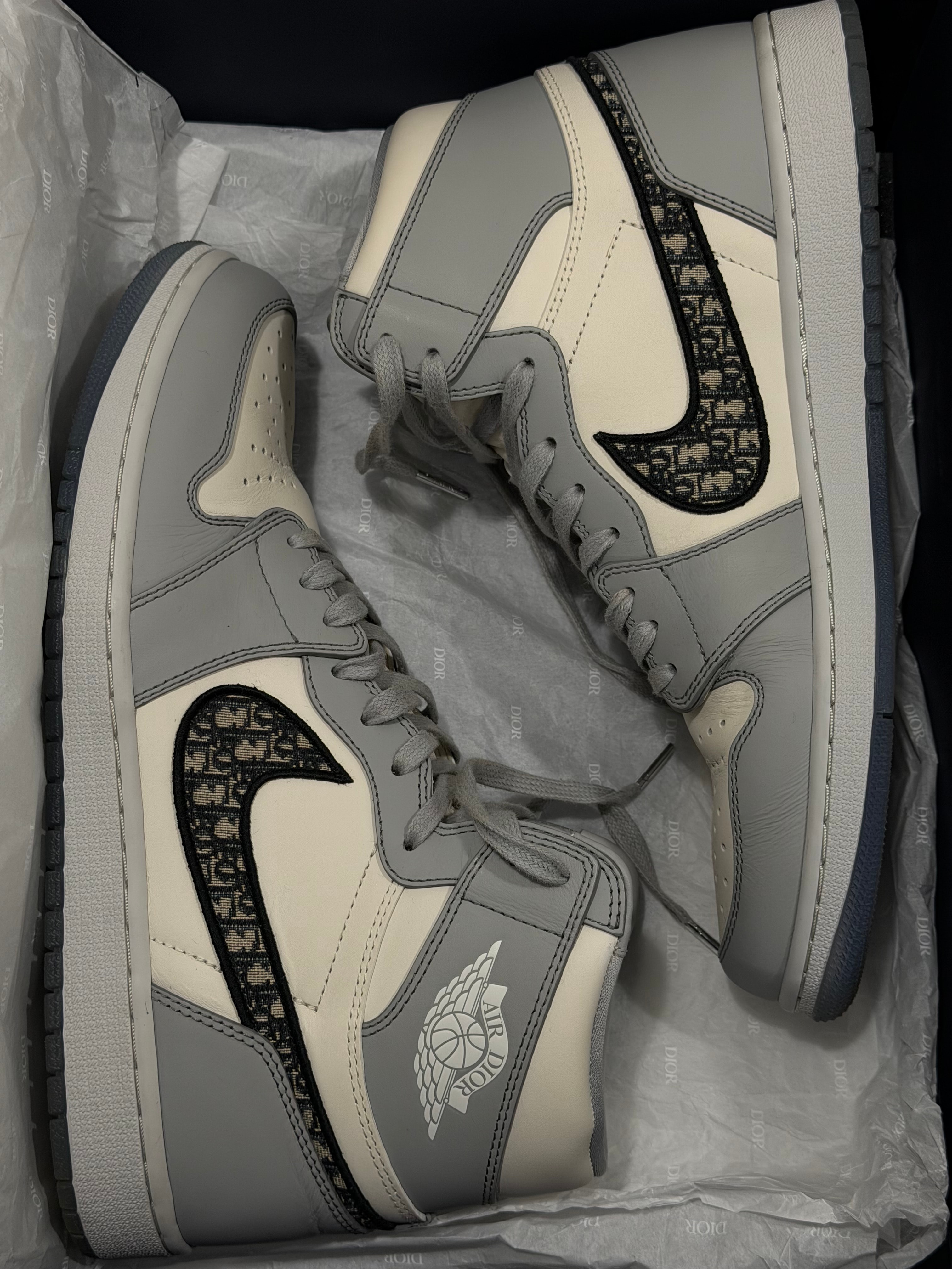 Dior × Nike Air Jordan 1 High OG "DIOR"