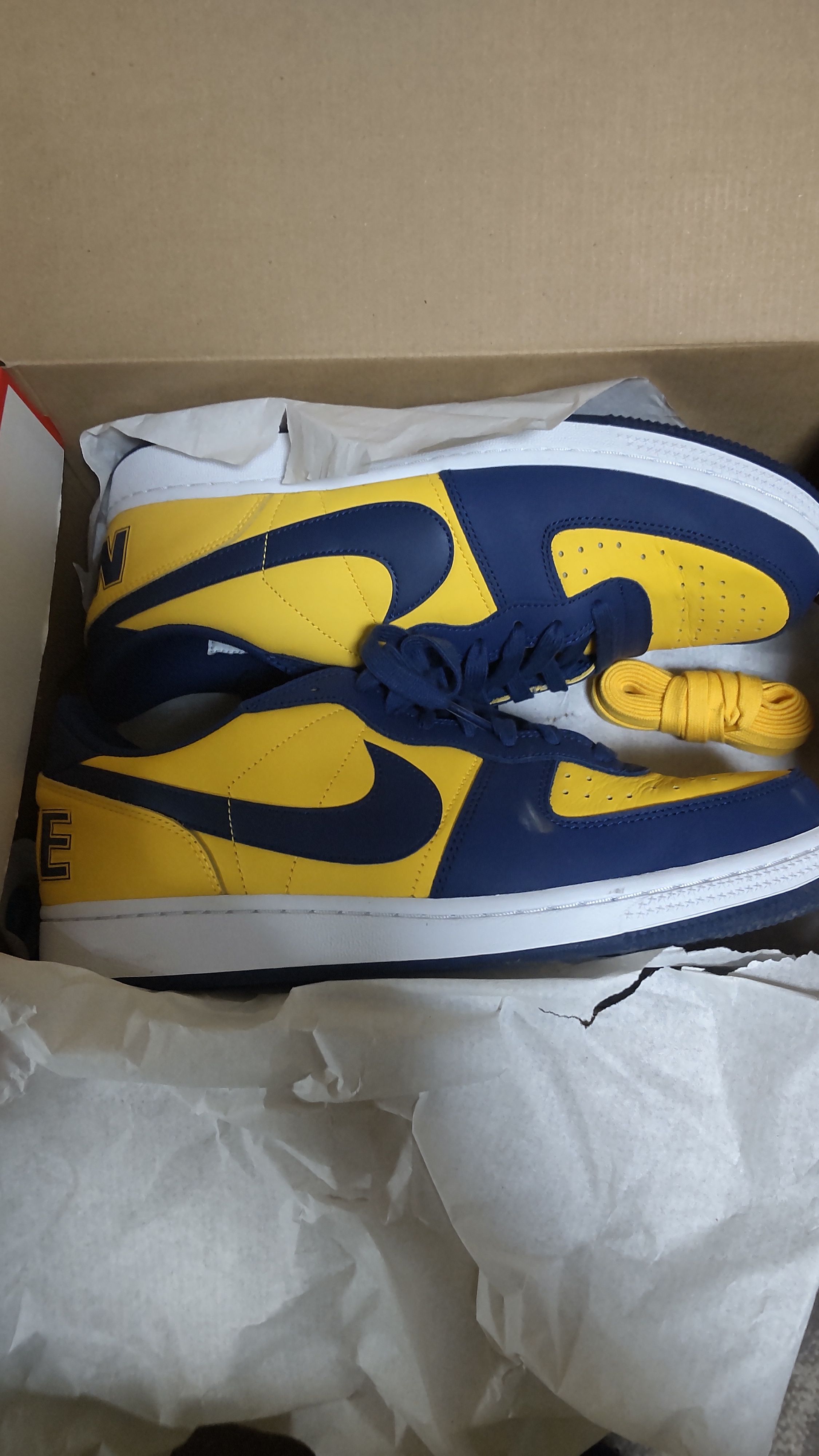 Nike Terminator Low "University Gold and Navy/Michigan"
