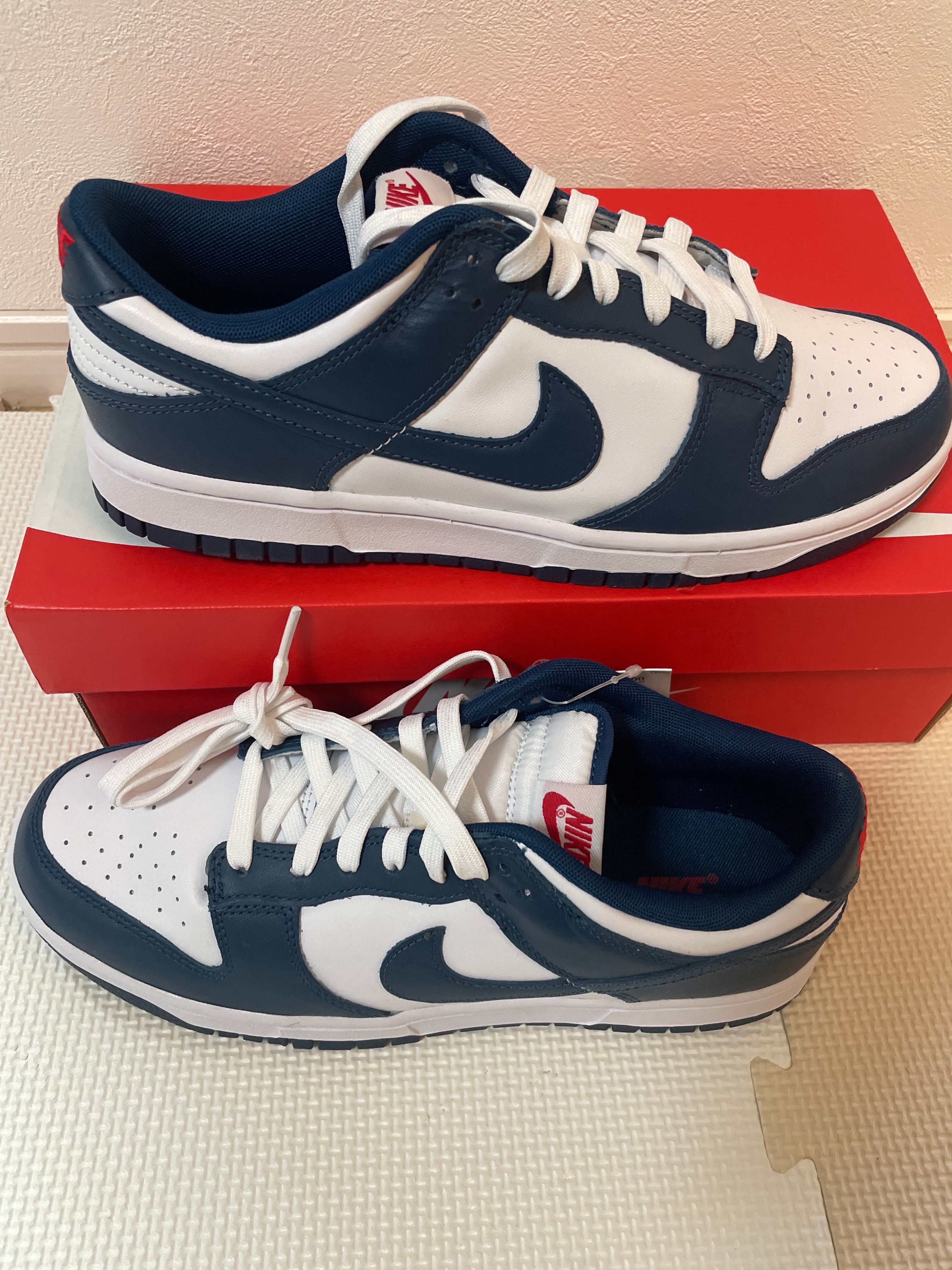 Nike Dunk Low "Valerian Blue"