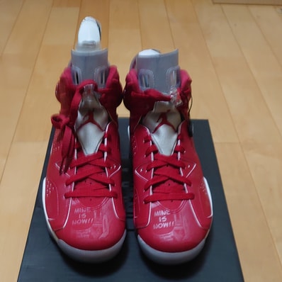 Nike Air Jordan 6 RETRO "SLAM DUNK"