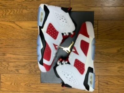 Nike Air Jordan 6 GS "Carmine" (2021)