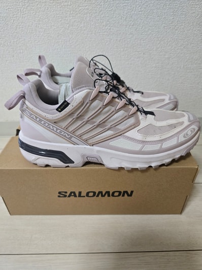 Salomon ACS Pro GORE-TEX "Cloud Gray/Lilac Ash/Nine Iron"