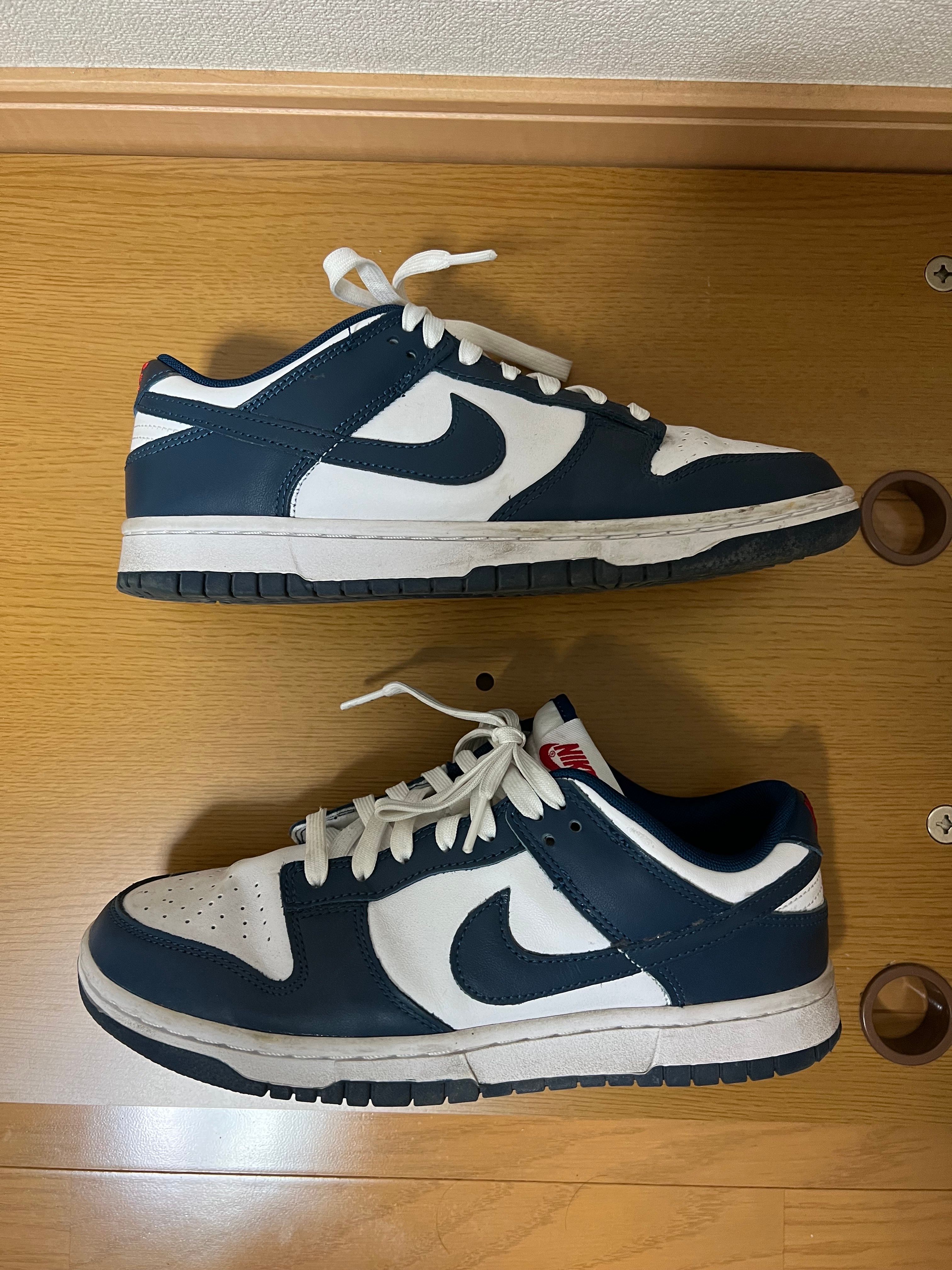 Nike Dunk Low "Valerian Blue"