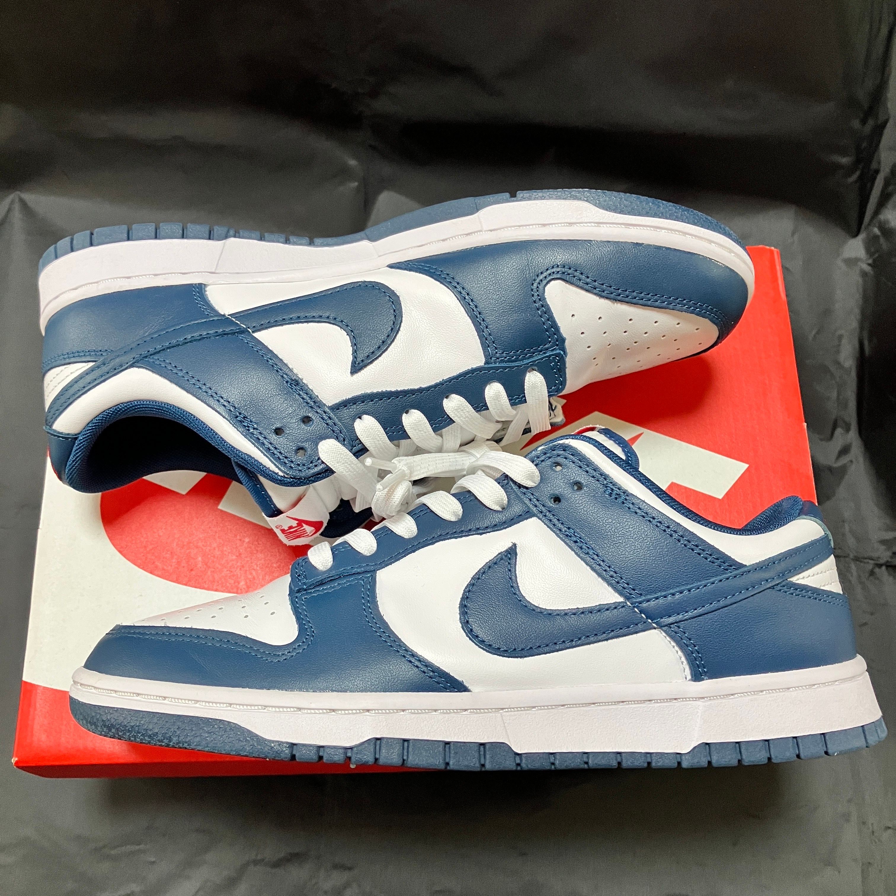 Nike Dunk Low "Valerian Blue"