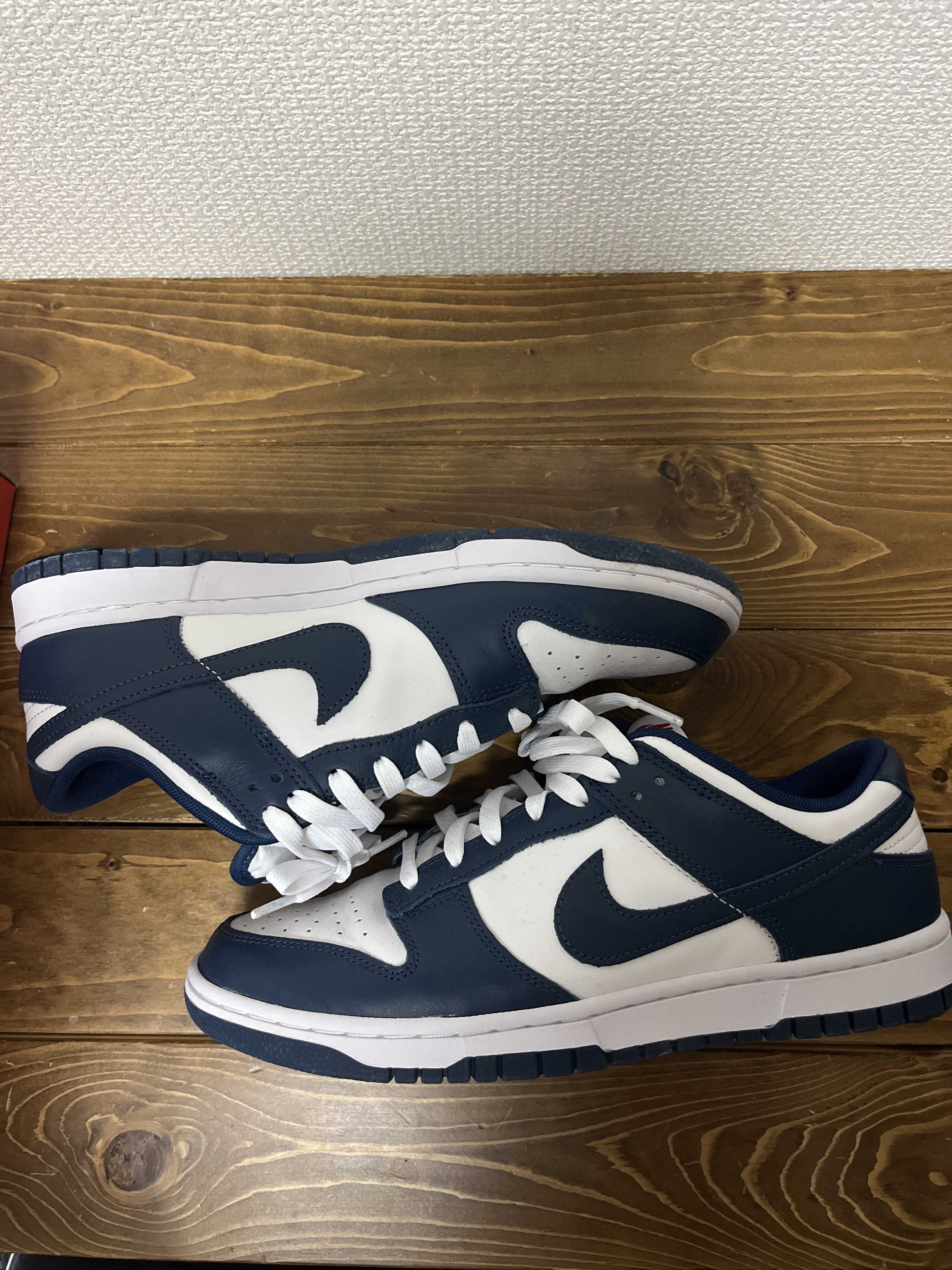 Nike Dunk Low "Valerian Blue"