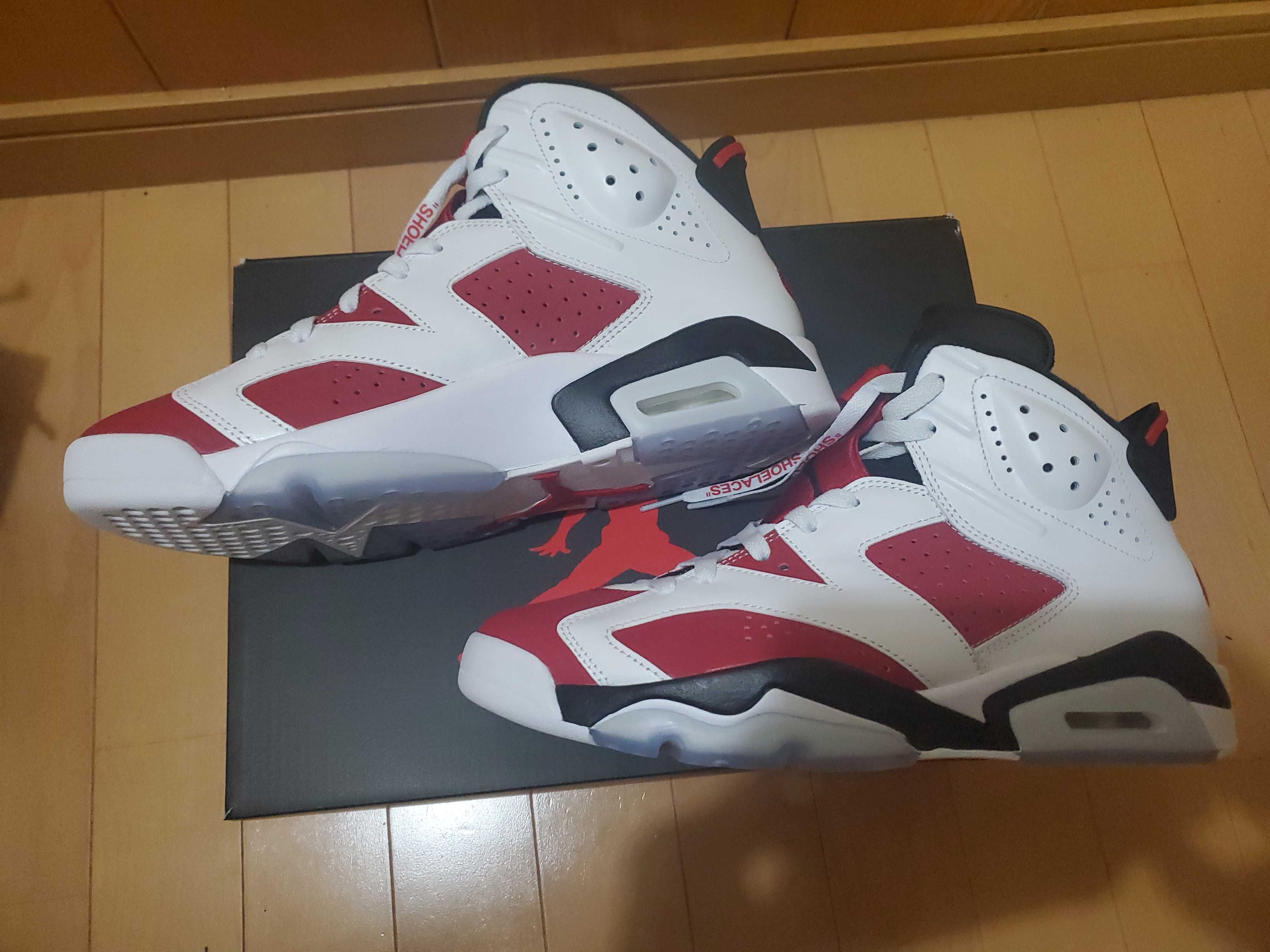 Nike Air Jordan 6 "Carmine" (2021)