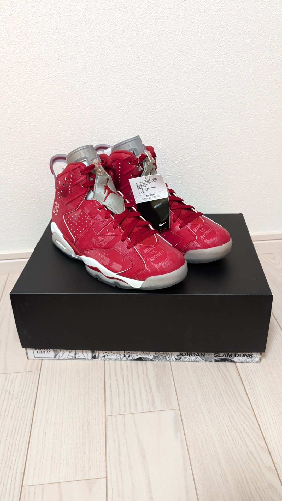 Nike Air Jordan 6 RETRO "SLAM DUNK"
