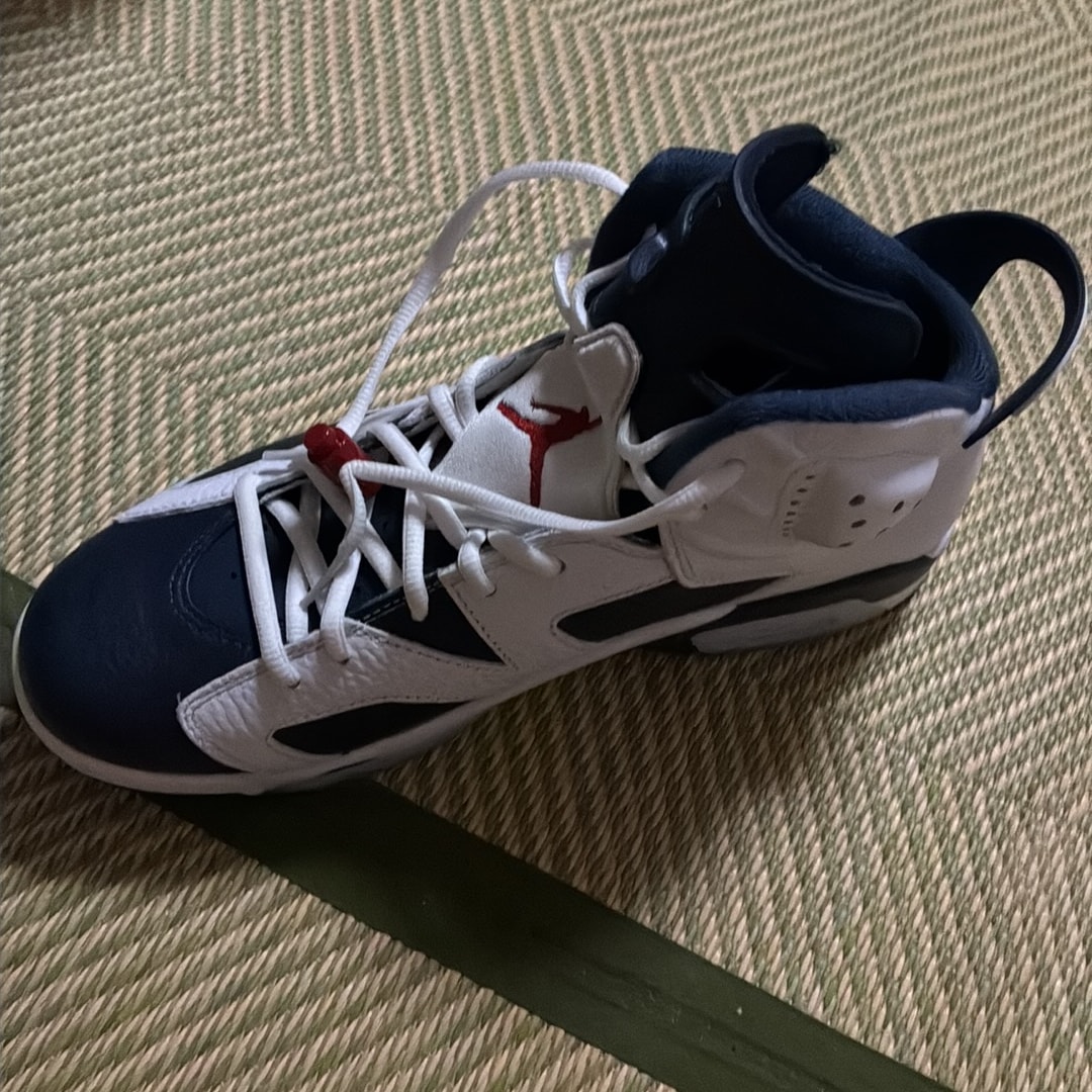 Nike Air Jordan 6 Retro "White and Midnight Navy"