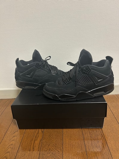Nike Air Jordan 4 "Black Cat"