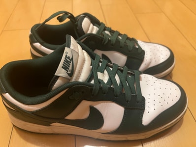 Nike Dunk Low Retro "Varsity Green/Team Green"