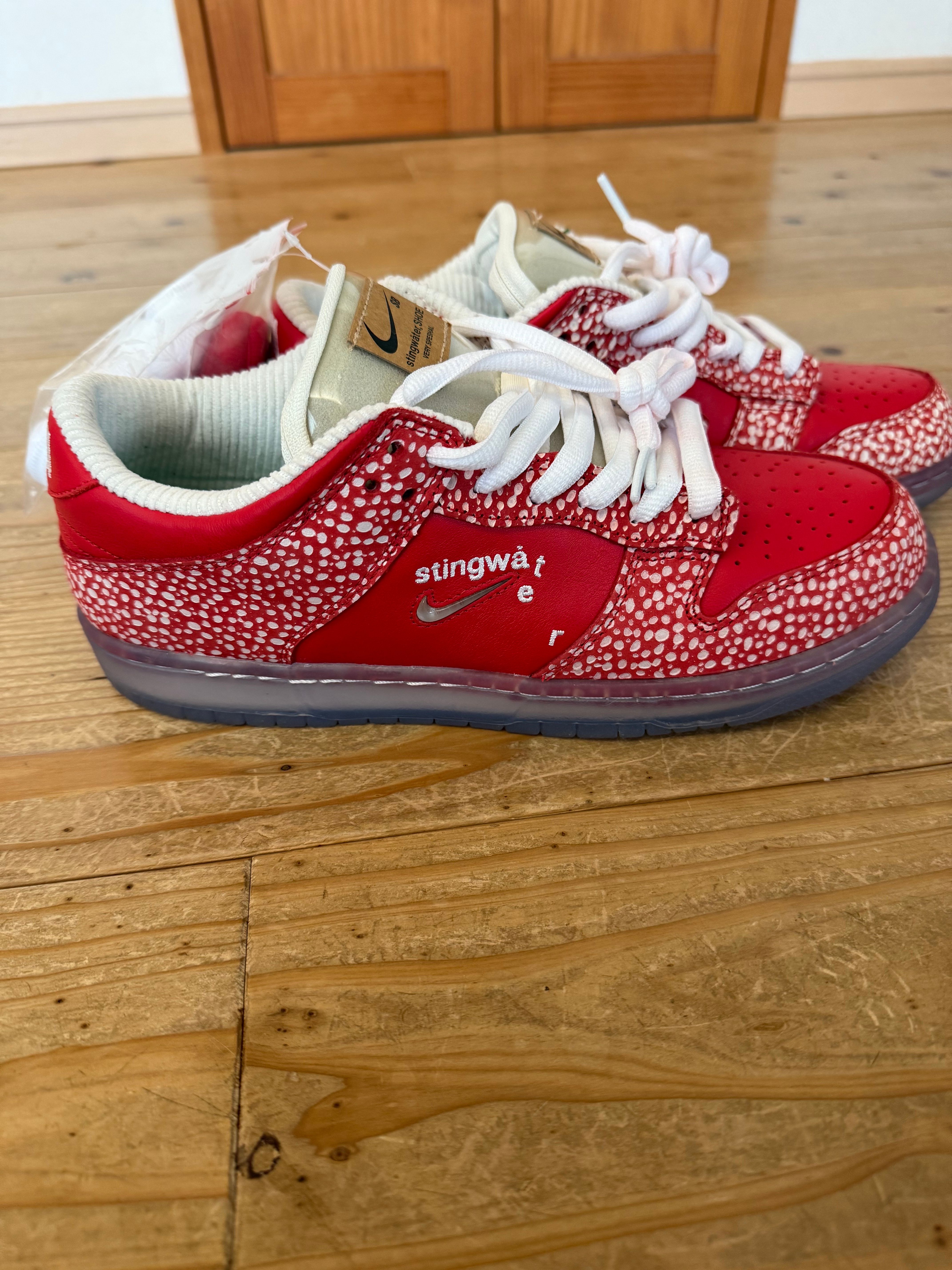 Stingwater × Nike SB Dunk Low "Magic Mushroom"