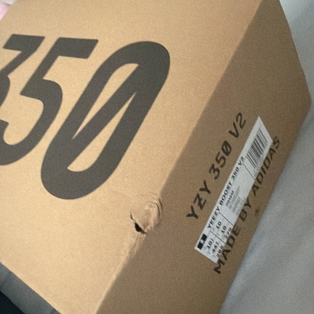 adidas YEEZY Boost 350V2 "Onyx"