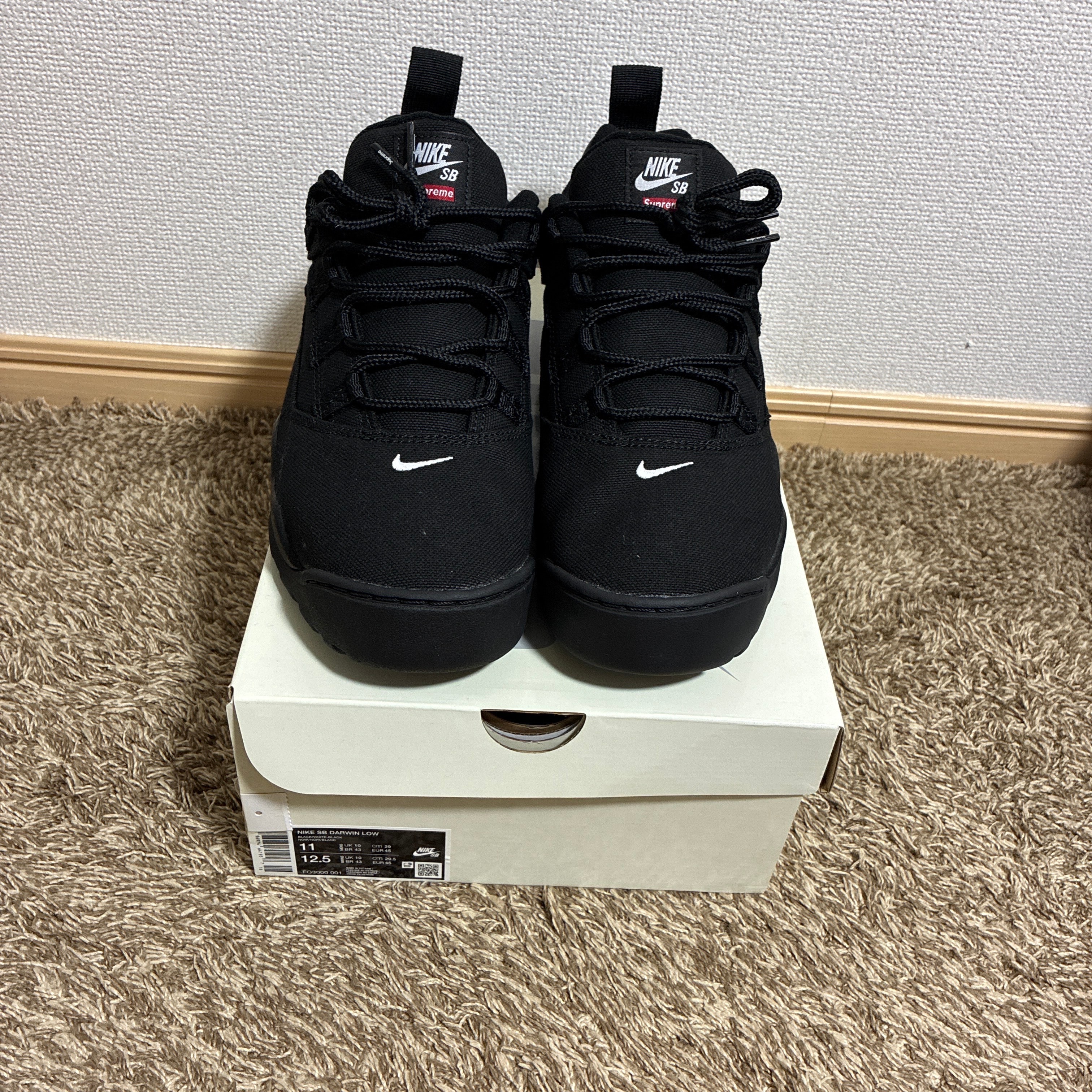 Supreme × Nike SB Darwin Low "Black"
