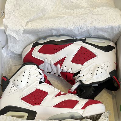 Nike Air Jordan 6 "Carmine" (2021)