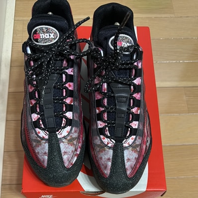 Nike Air Max 95 "Cherry Blossom"