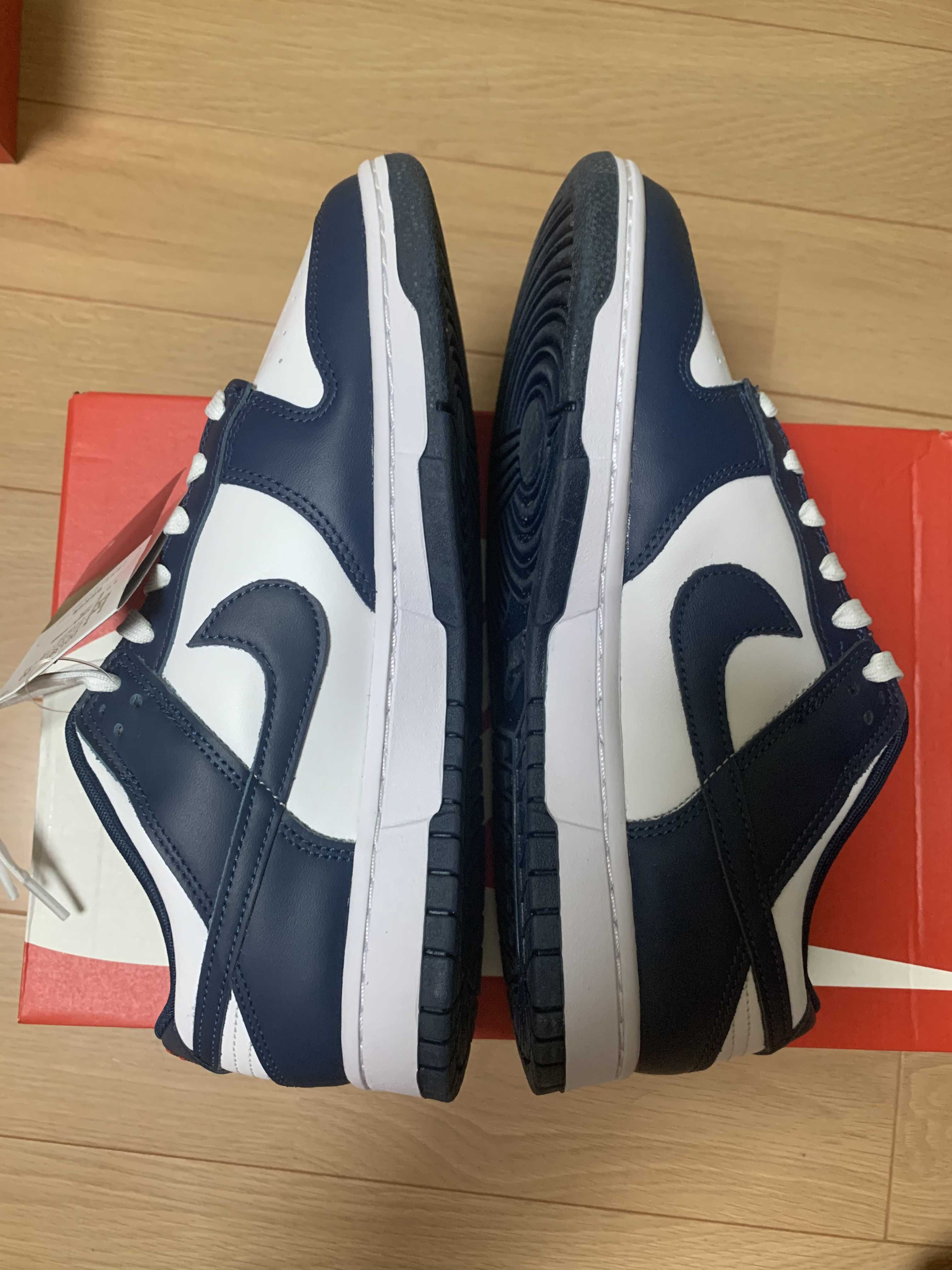 Nike Dunk Low "Valerian Blue"