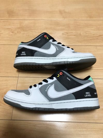 Nike SB Dunk Low Pro "VX1000 Camcorder"