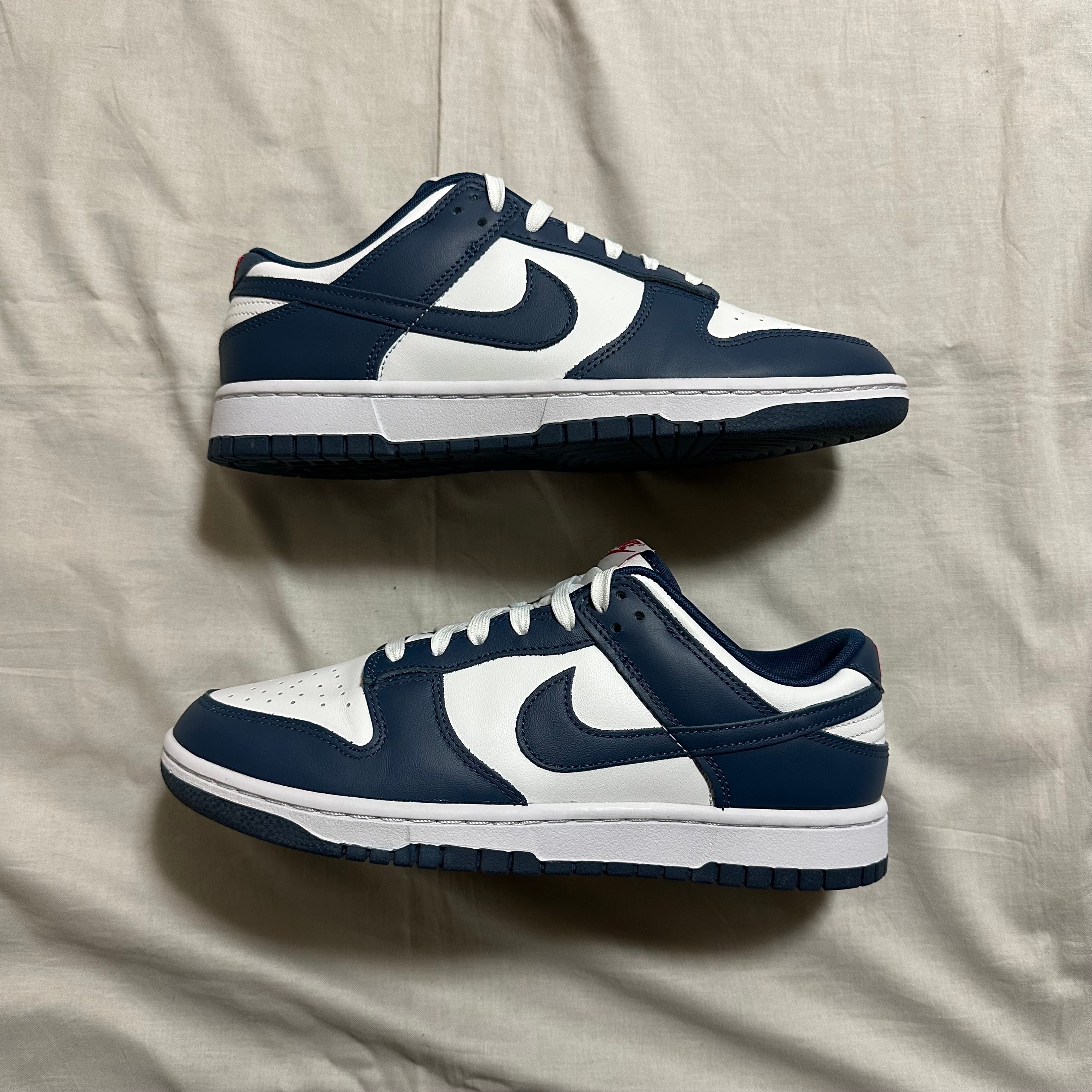 Nike Dunk Low "Valerian Blue"