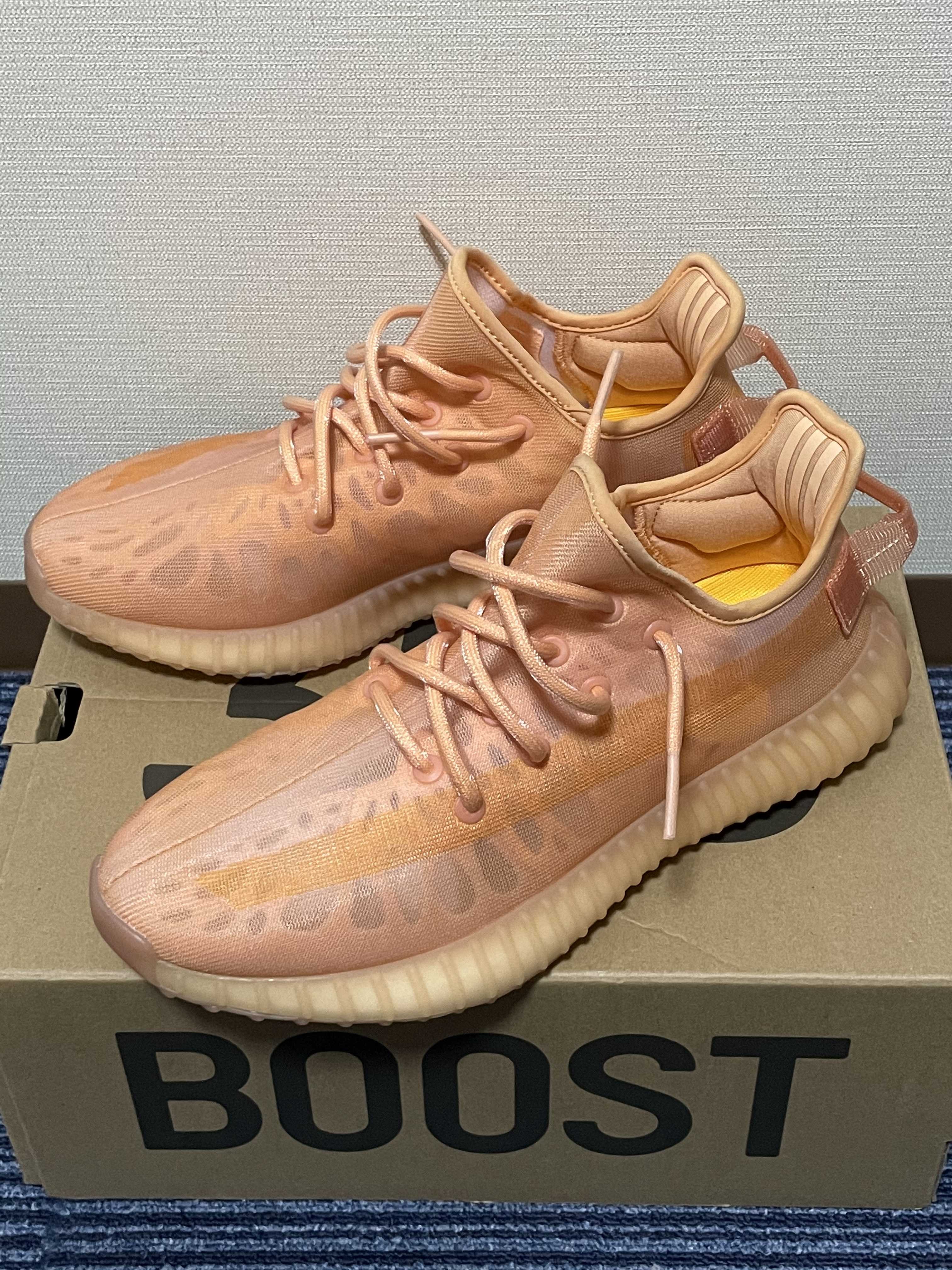 adidas YEEZY Boost 350 V2 "Mono Clay"