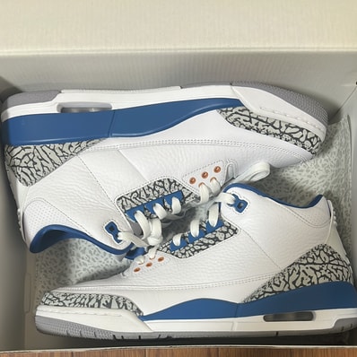Nike Air Jordan 3 Retro "True Blue and Copper"