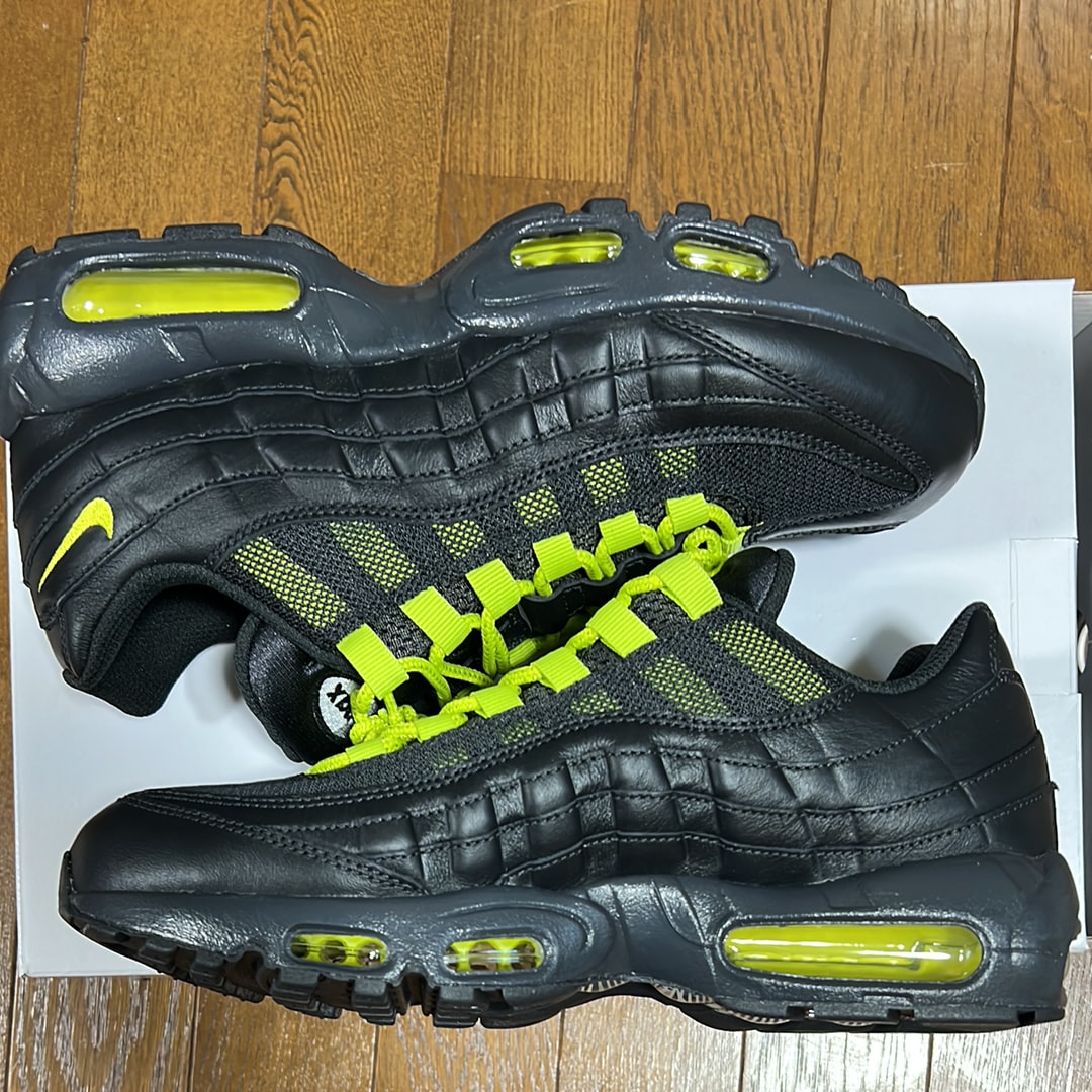Nike Air Max 95 By You & Unlocked By You (NIKEiD) 中古一覧