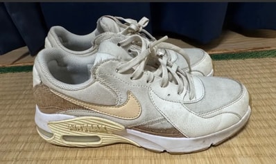 Nike Women's Air Max Excee "Cork"