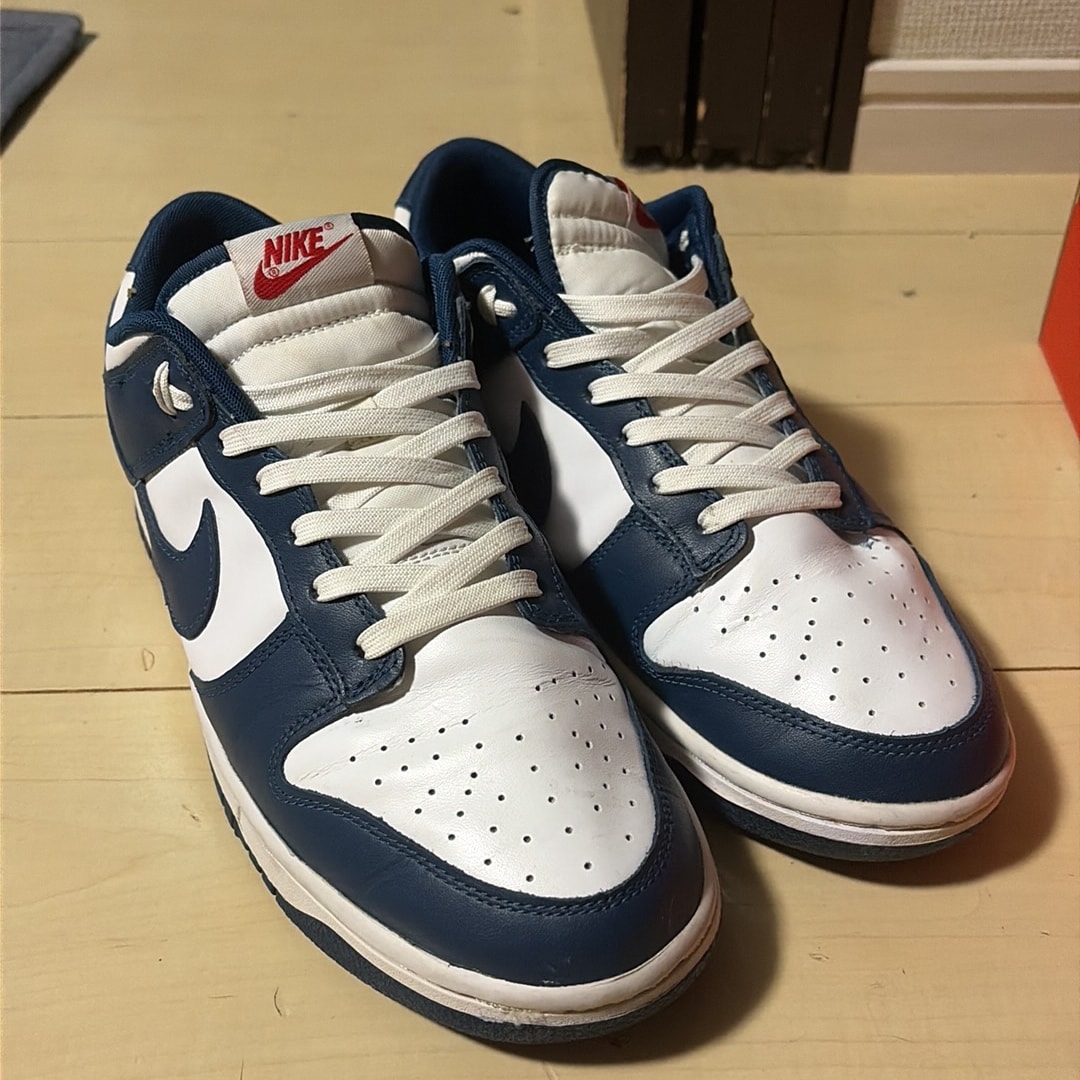 Nike Dunk Low "Valerian Blue"