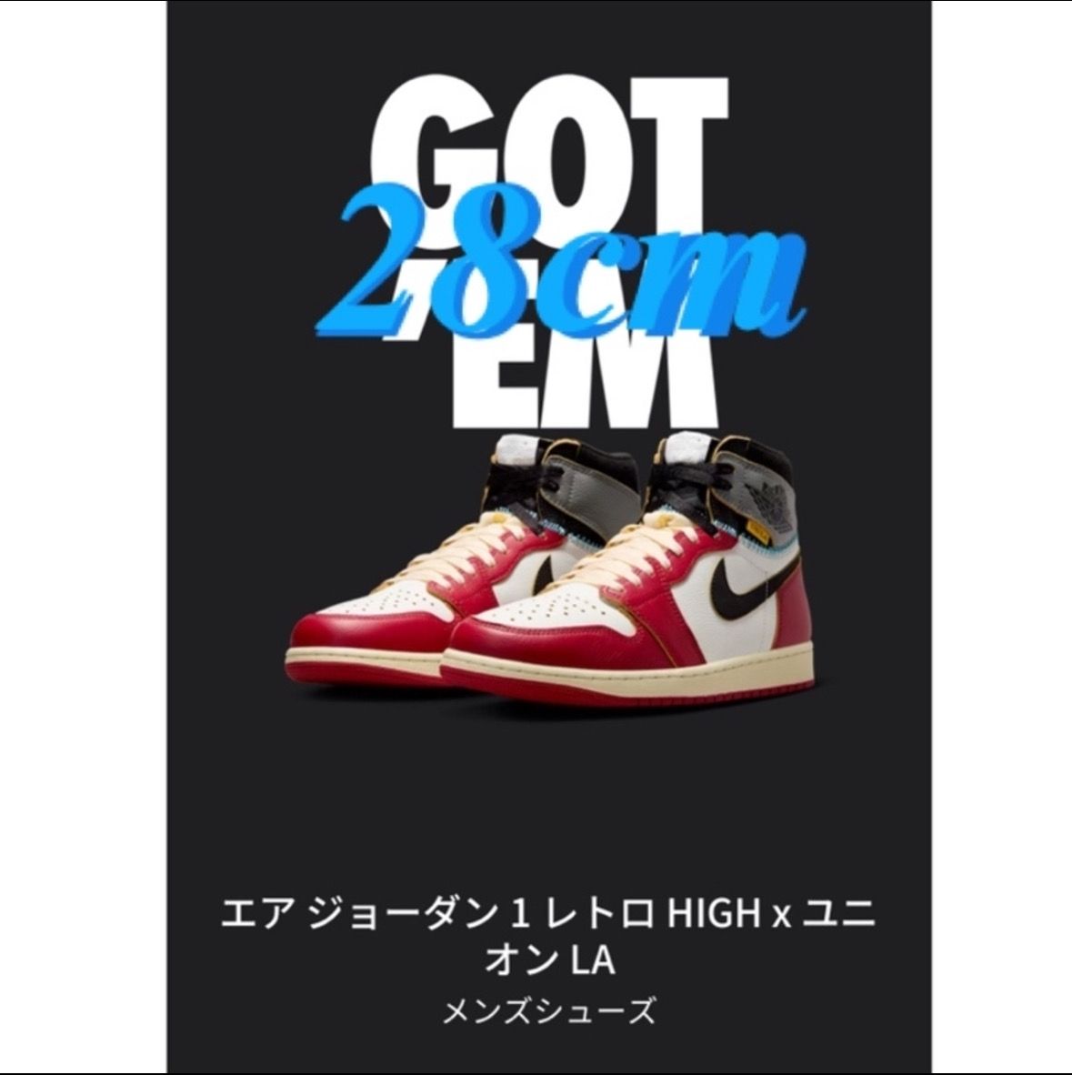 UNION × Nike Air Jordan 1 Retro High OG "Chicago/Shadow"