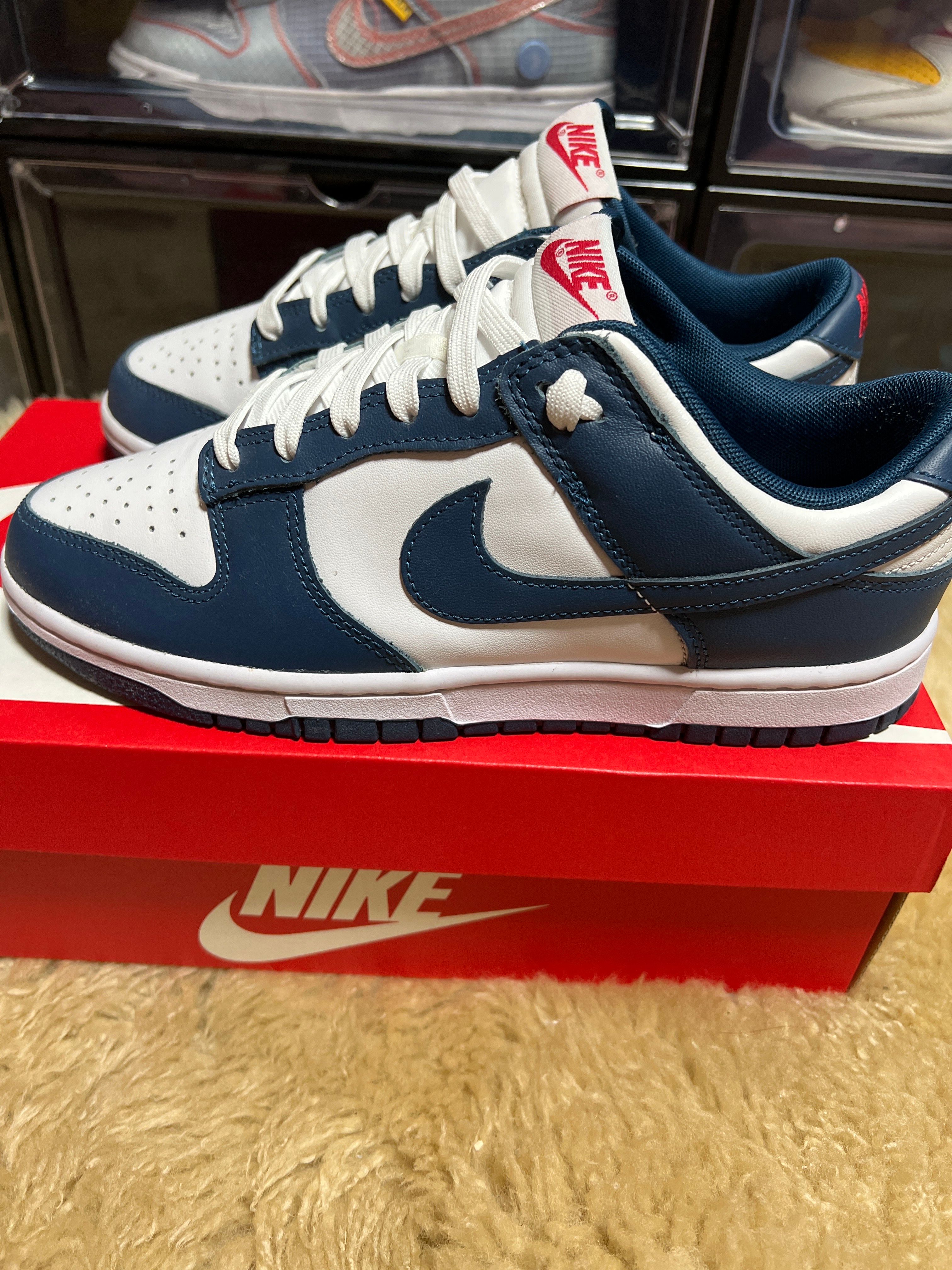 Nike Dunk Low "Valerian Blue"