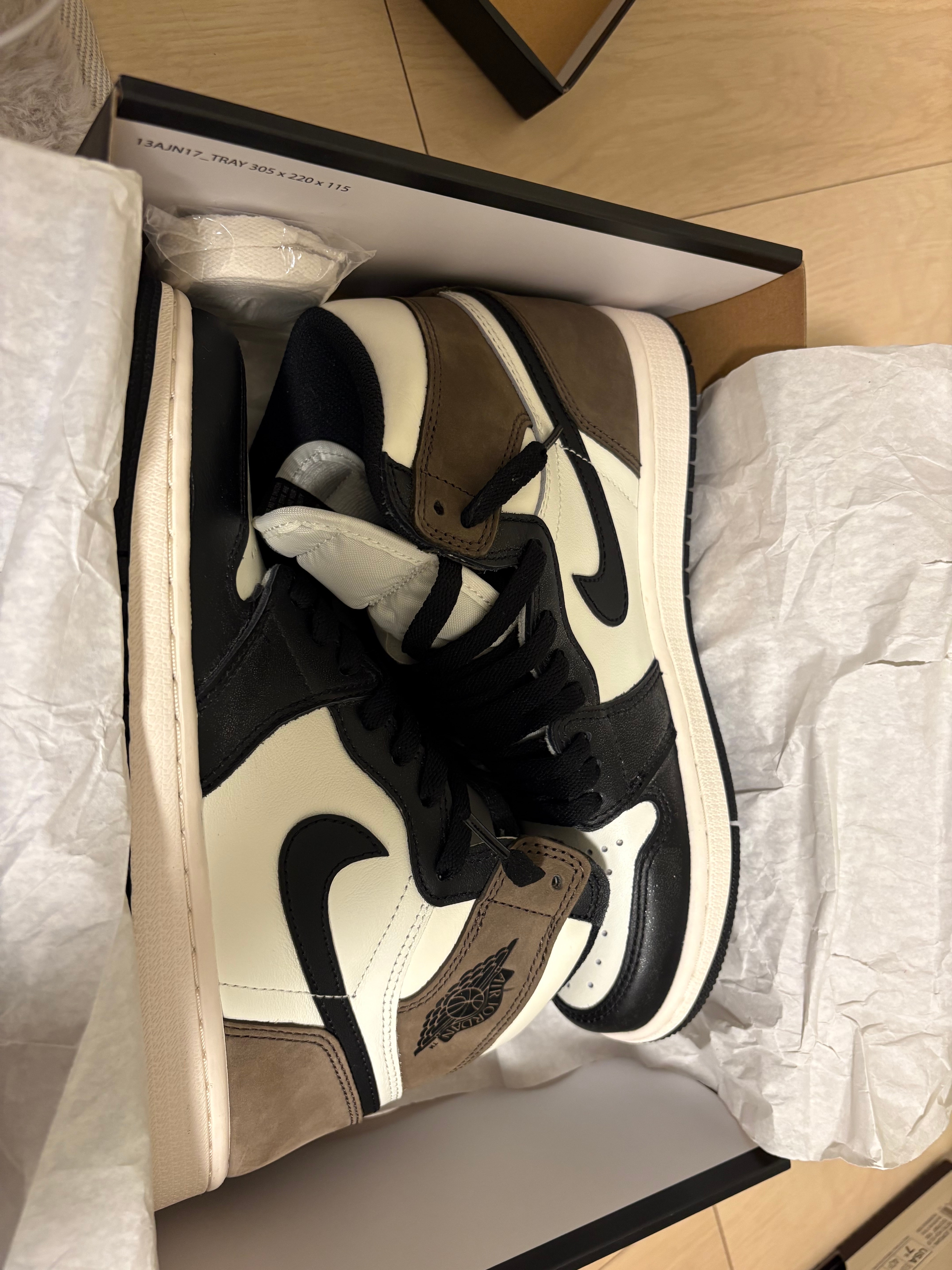 Nike Air Jordan 1 High OG "Sail/Dark Mocha/Black"