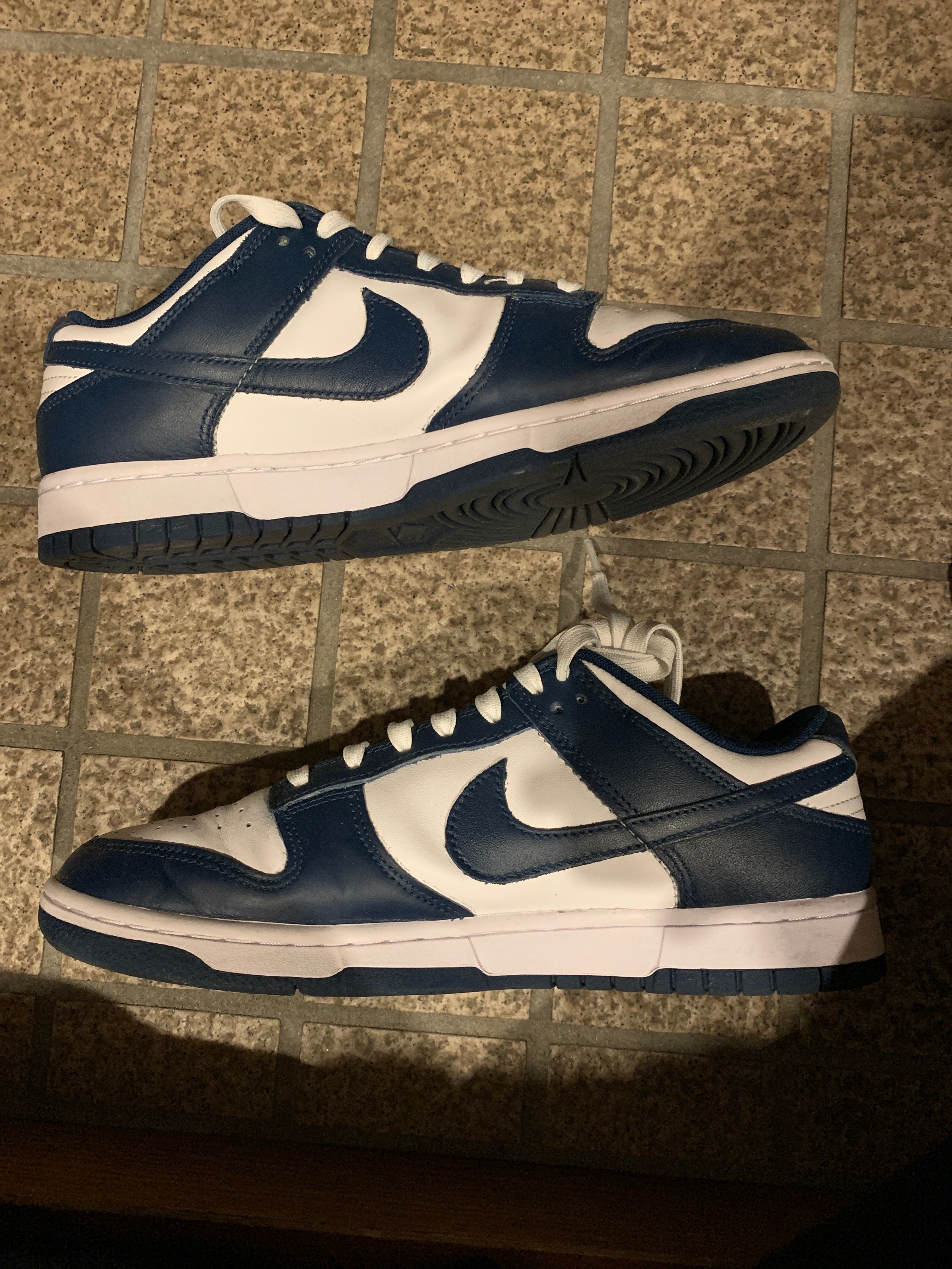 Nike Dunk Low "Valerian Blue"