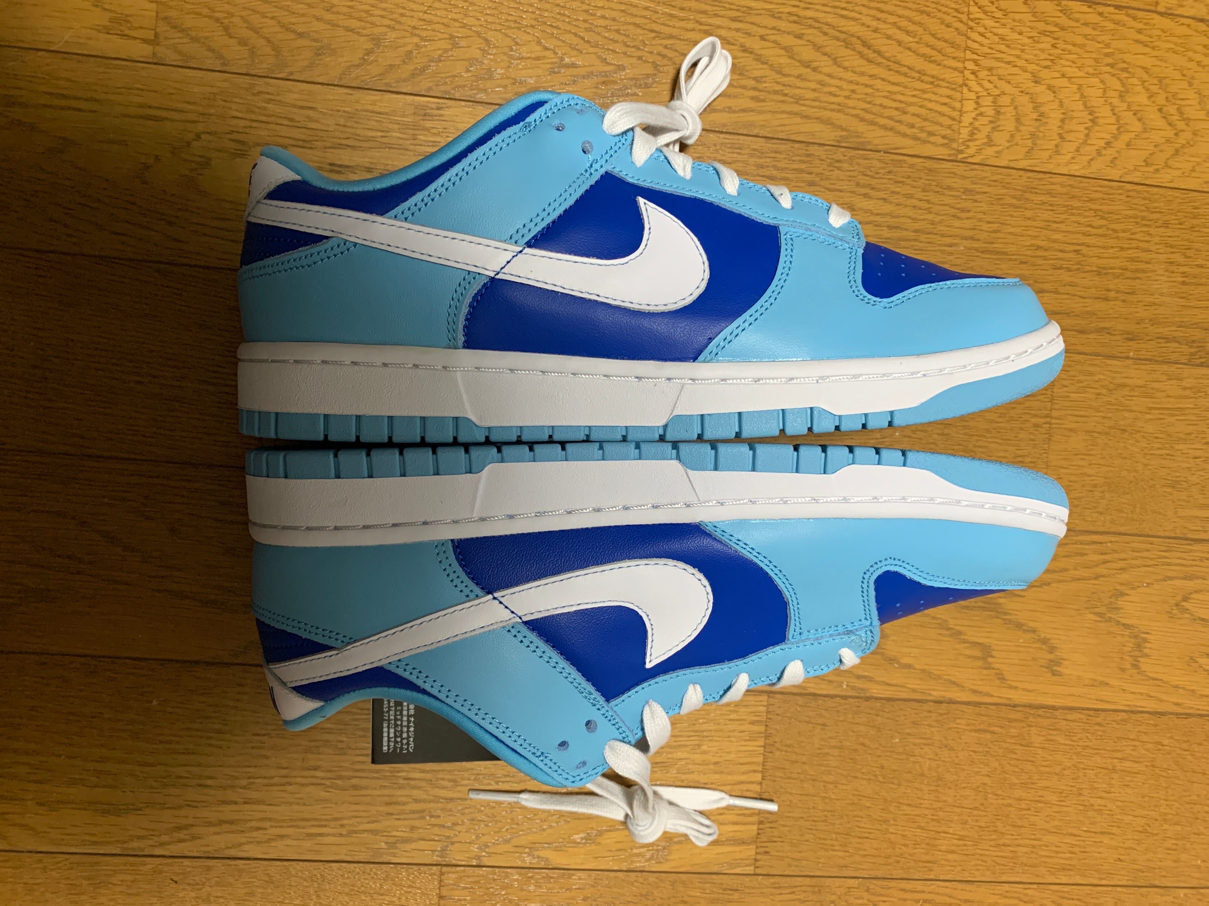 Nike Dunk Low Retro QS "Argon" (2022)