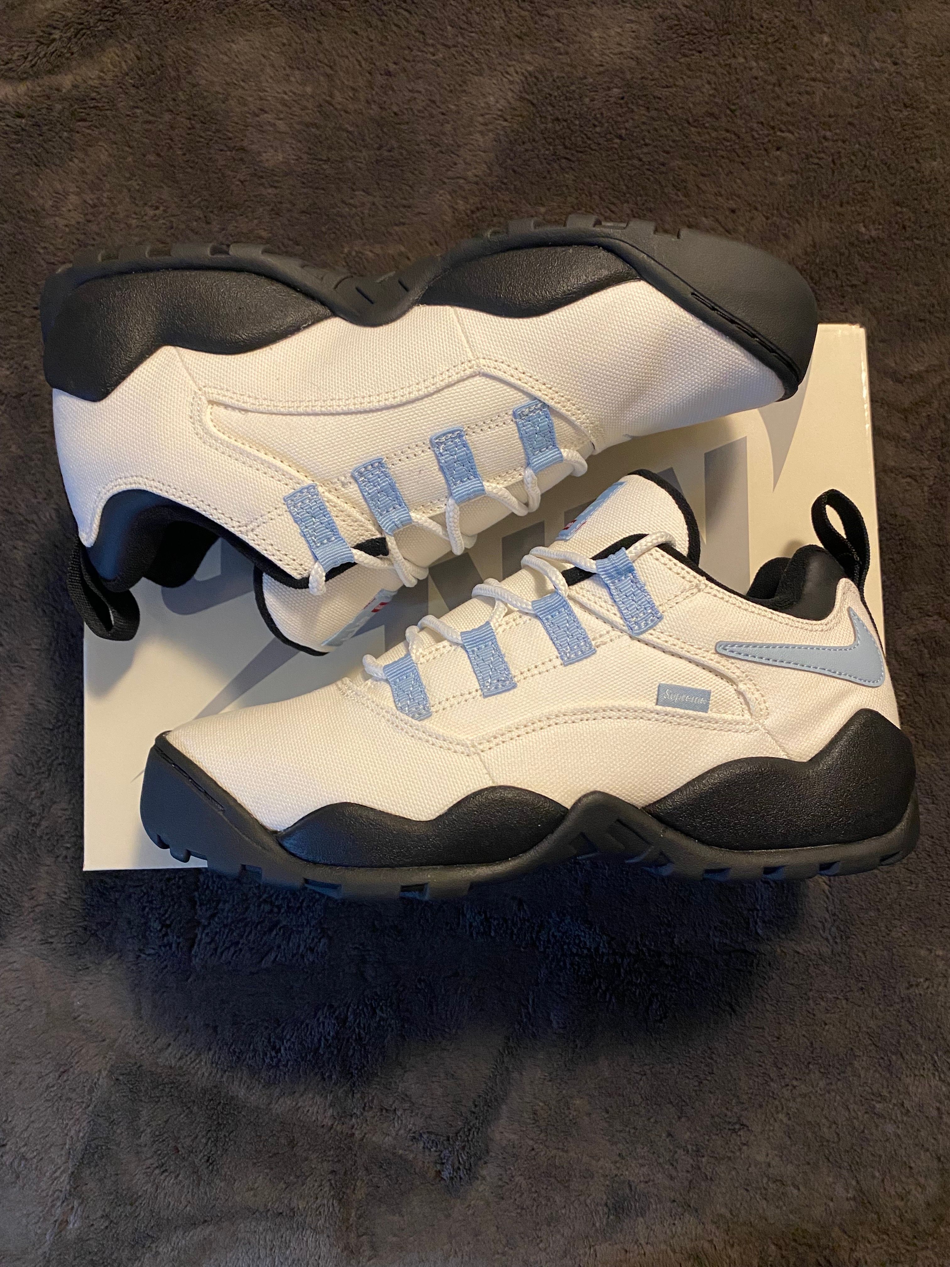 Supreme × Nike SB Darwin Low "White"